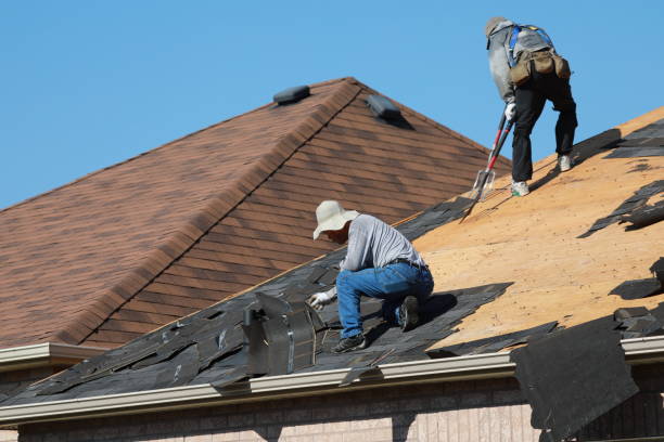 Best Roof Insulation Installation  in La Selva Beach, CA